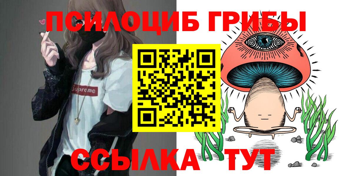 Новодвинск  Псилоцибиновые грибы мухоморы  Вход с VPN  купить   Галлюциногенные грибы Cubensis 
